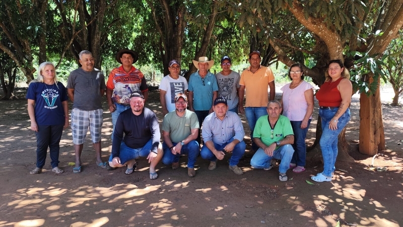 Cidesasul e o Desenvolvimento