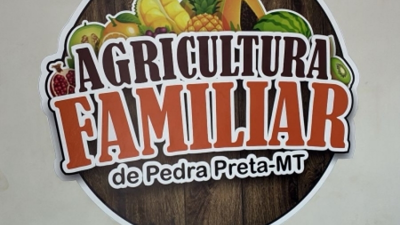 Cidesasul e o Futuro