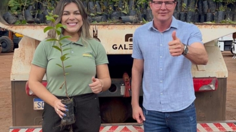 CIDESASUL SUSTENT�VEL 