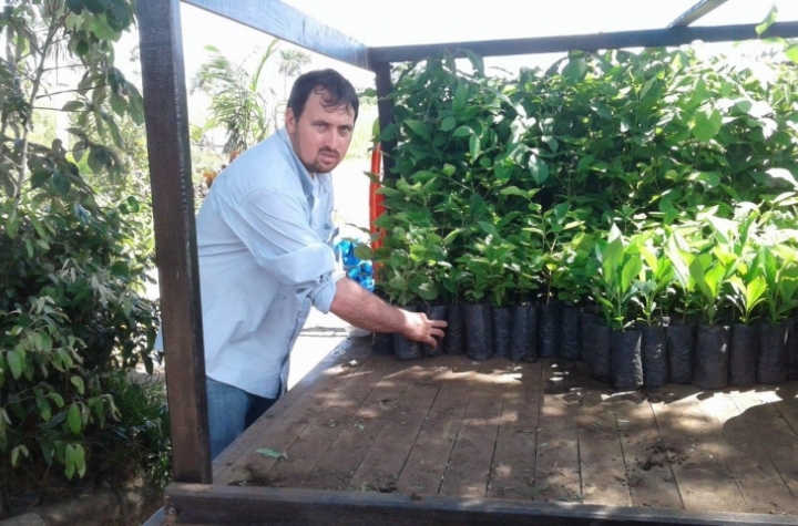Itiquira recebe 1400 mudas de plantas nativas fornecidas pelo Consrcio