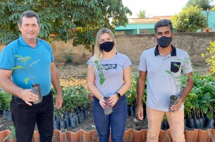 Consrcio Cidesasul realiza entrega de mudas frutferas e nativas em So Pedro da Cipa