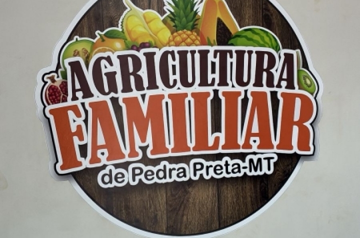 Cidesasul e o Futuro