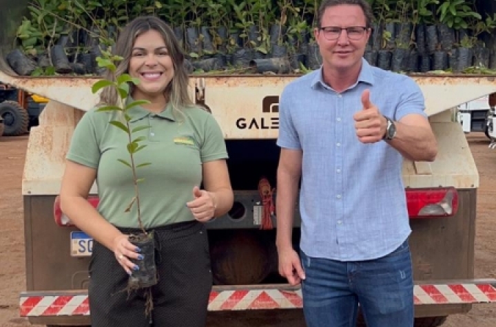 CIDESASUL SUSTENT�VEL 