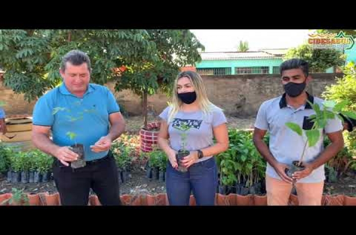 Consrcio Cidesasul realiza entrega de mudas frutferas e nativas em S